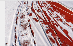 Annulation de la séance du mercredi 7 janvier 2026