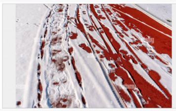 Annulation de la séance du mercredi 7 janvier 2026